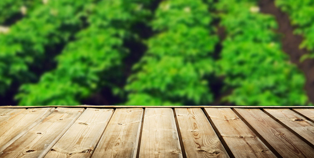 Yoyo Foods Zambia Makers of Yoyo Fun Snacks